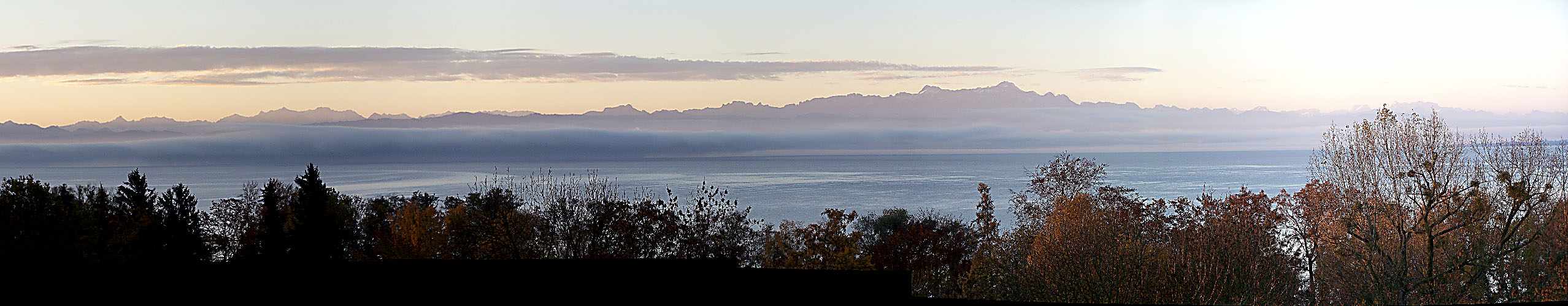 Bodensee am Morgen