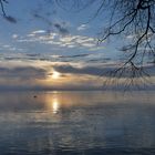 Bodensee am Morgen