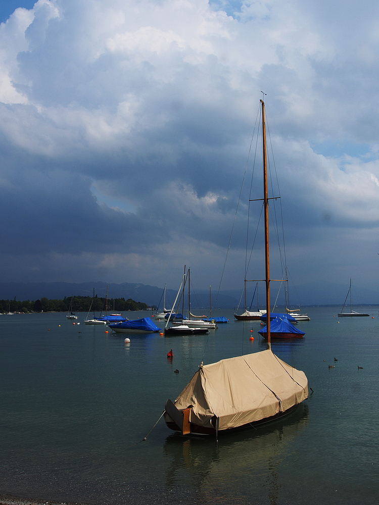 Bodensee, Am Ufer .. 2