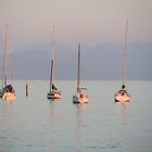 Bodensee an Abend