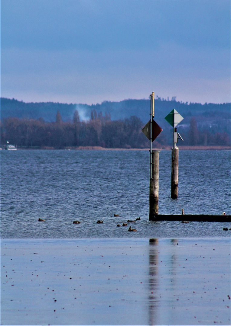 Bodensee Ansichten im Januar 2021