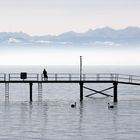 Bodensee (aus Meersburg)