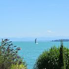 Bodensee Ausblicke