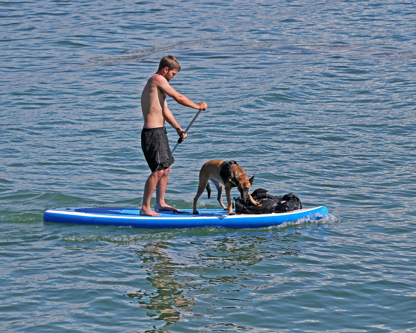 Bodensee -Ausflug-