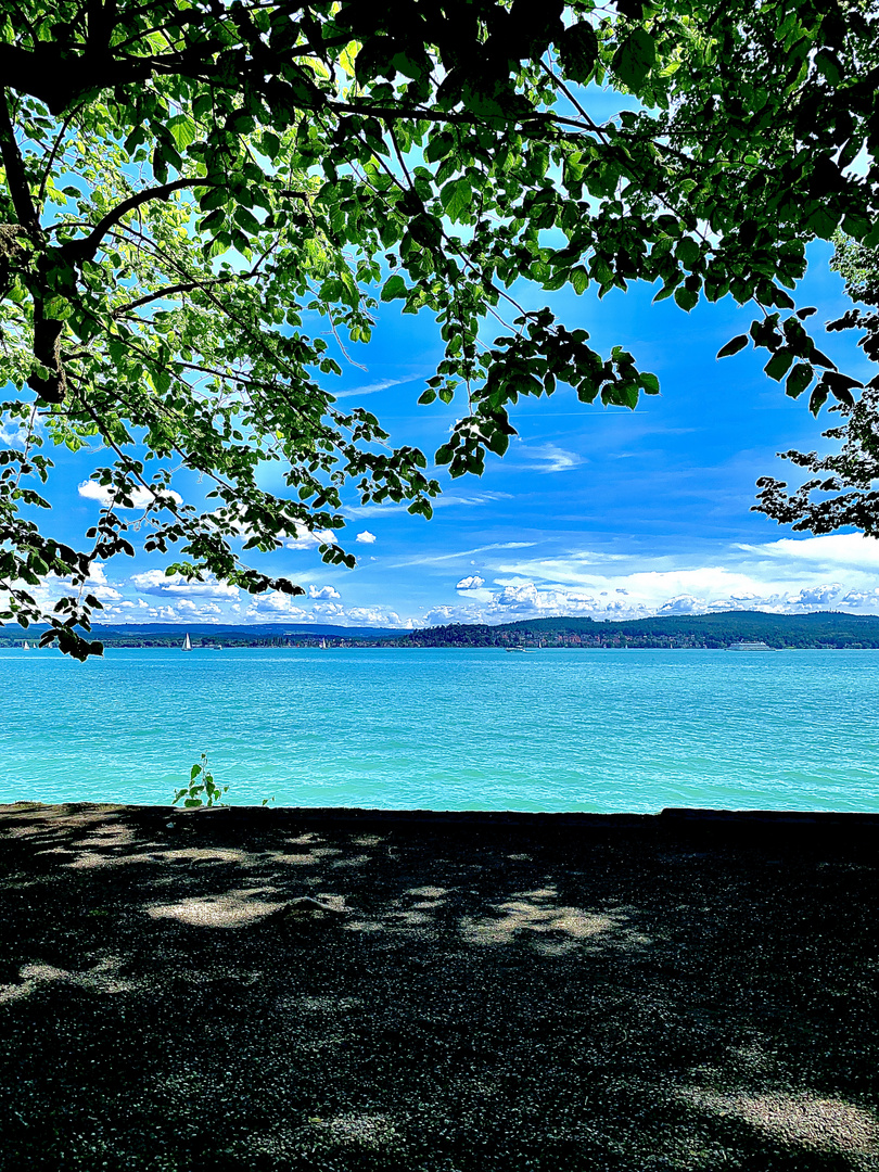 Bodensee-Aussicht 