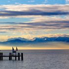 Bodensee Awakening