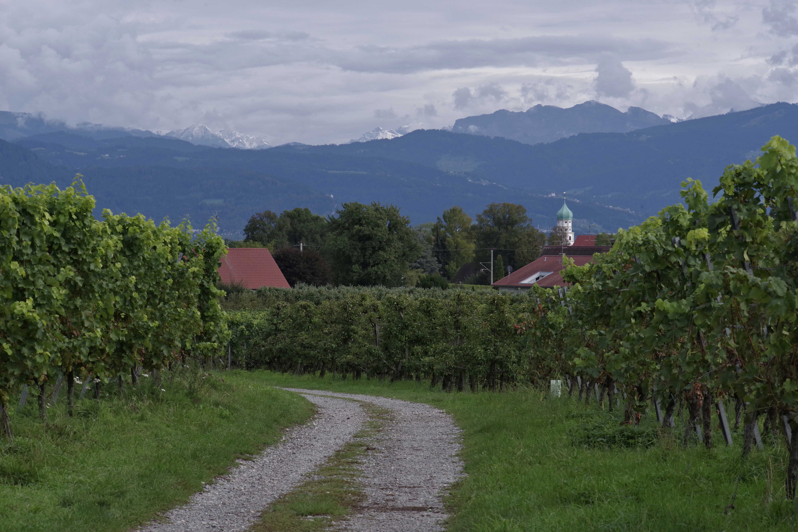 ...Bodensee