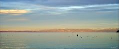 Bodensee