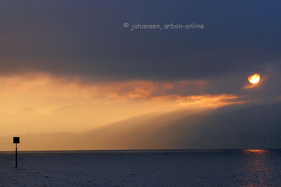 Bodensee Barely Bewildered