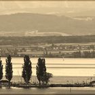 Bodensee