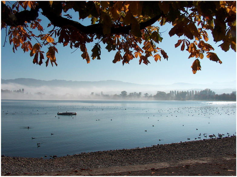 Bodensee bei Arbon