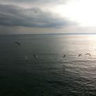 Bodensee bei aufziehendem Gewitter