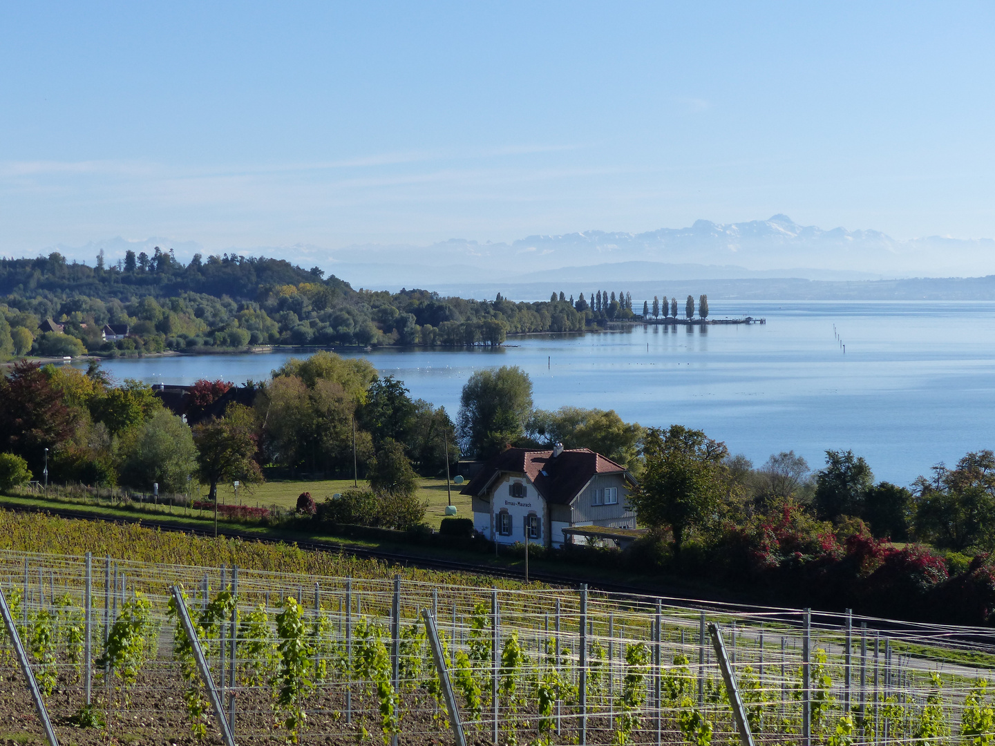 Bodensee bei Birnau