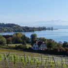 Bodensee bei Birnau