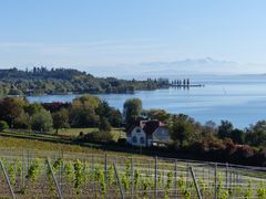 Bodensee bei Birnau