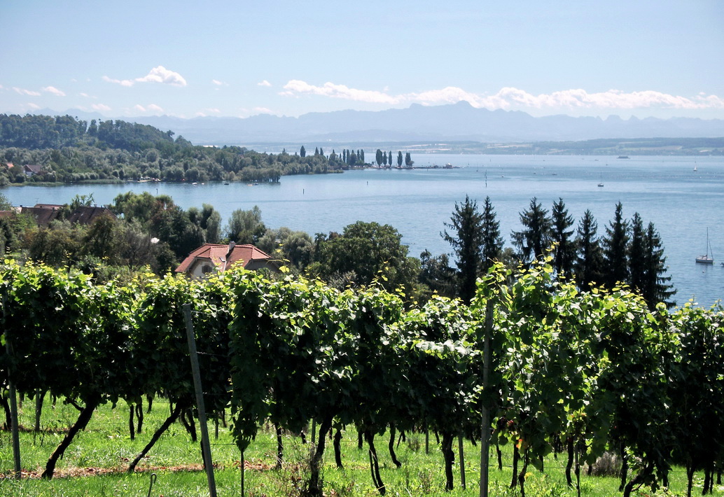 Bodensee bei Birnau