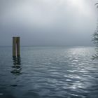 Bodensee bei Bodman