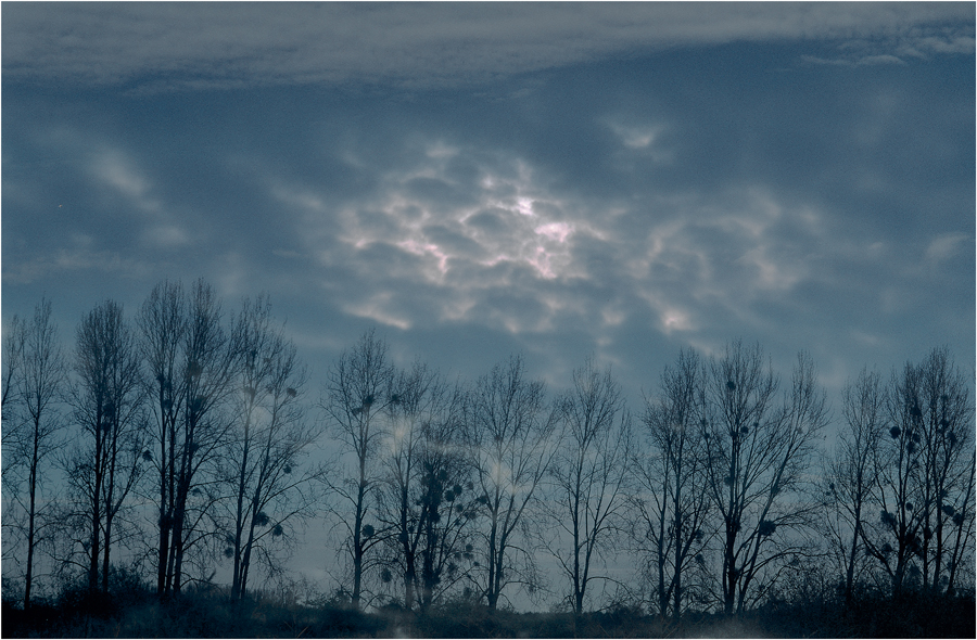 Bodensee - bei Eriskirch - "Spätherbst in Blau"