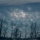 Bodensee - bei Eriskirch - "Spätherbst in Blau"