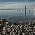 Bodensee bei Friedrichshafen