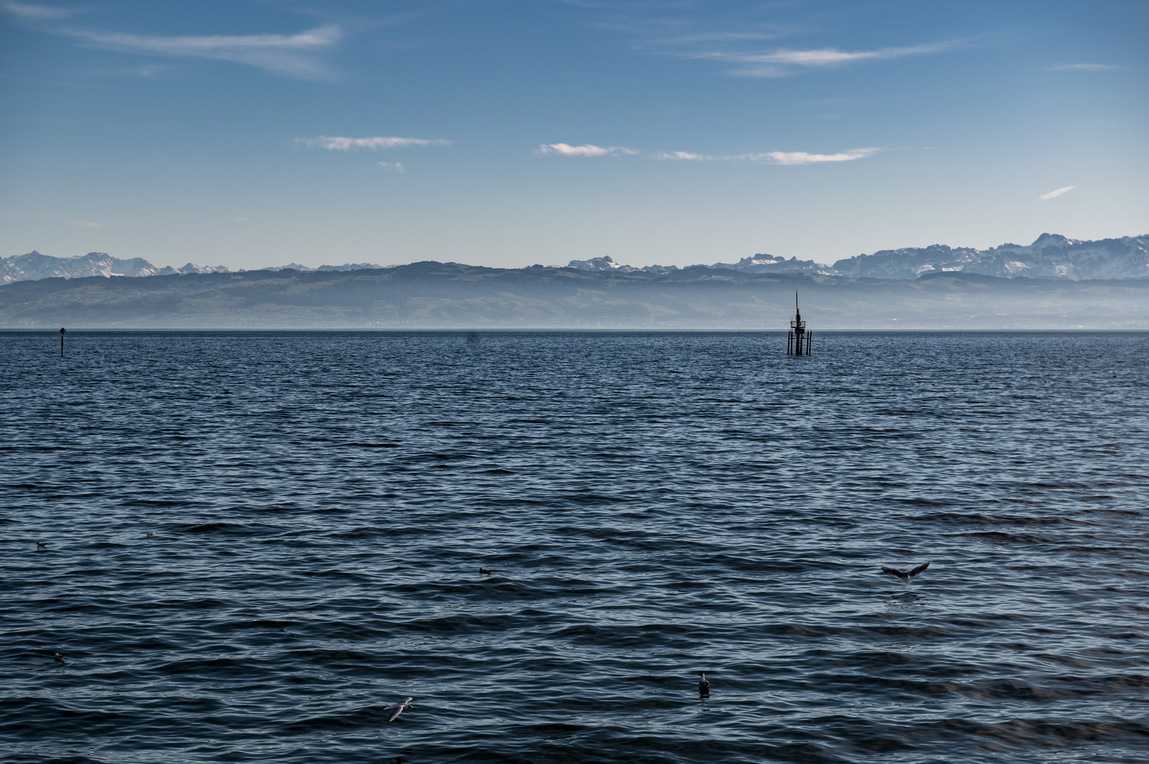 Bodensee bei Friedrichshafen