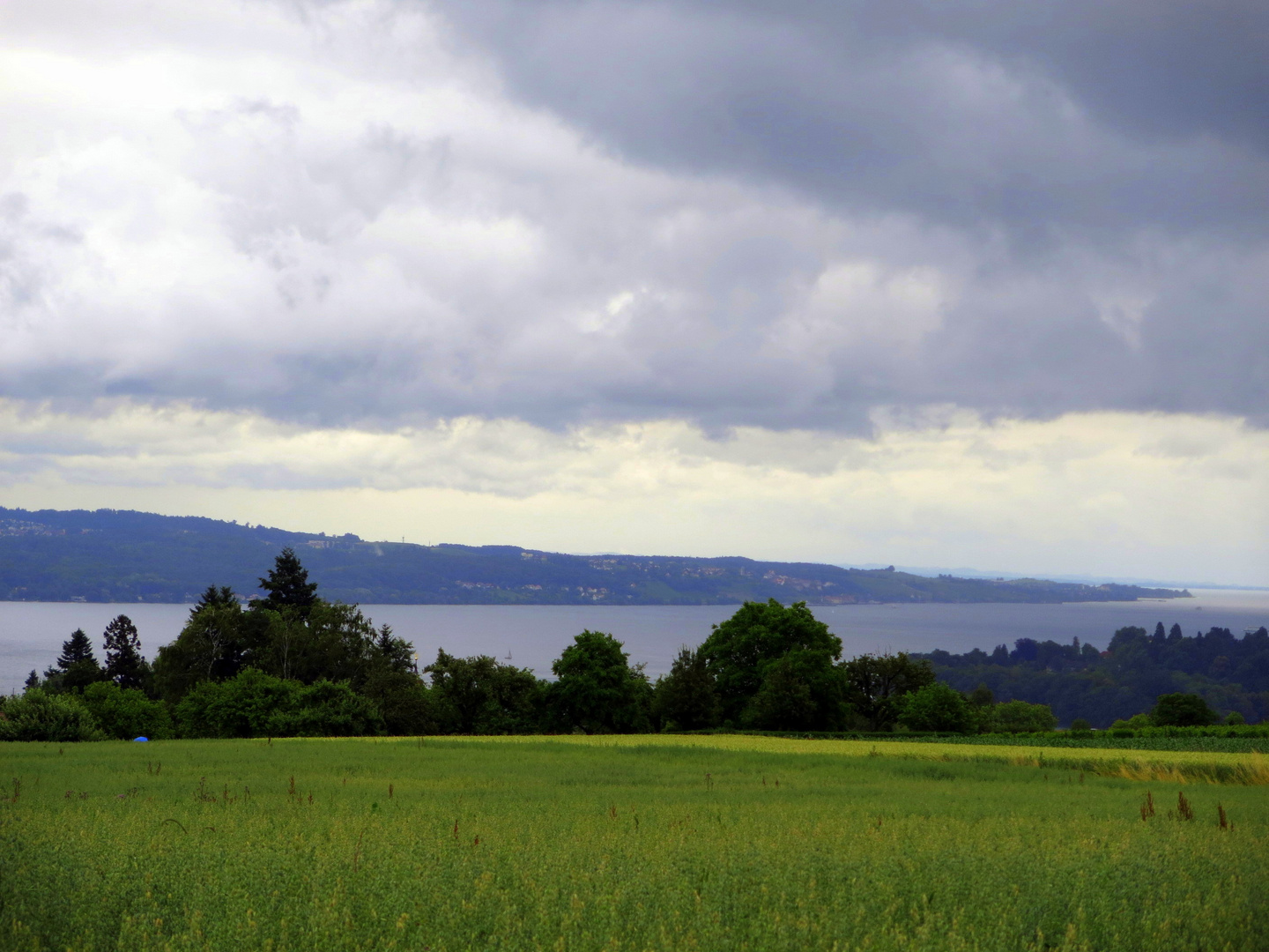 Bodensee bei Kostanz 1