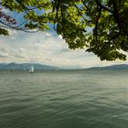 Bodensee bei Lindau