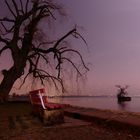 Bodensee bei Nacht