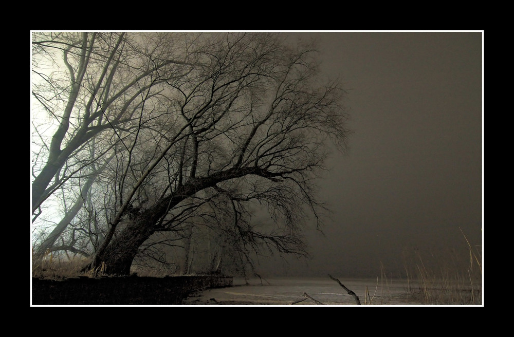 Bodensee bei Nacht III