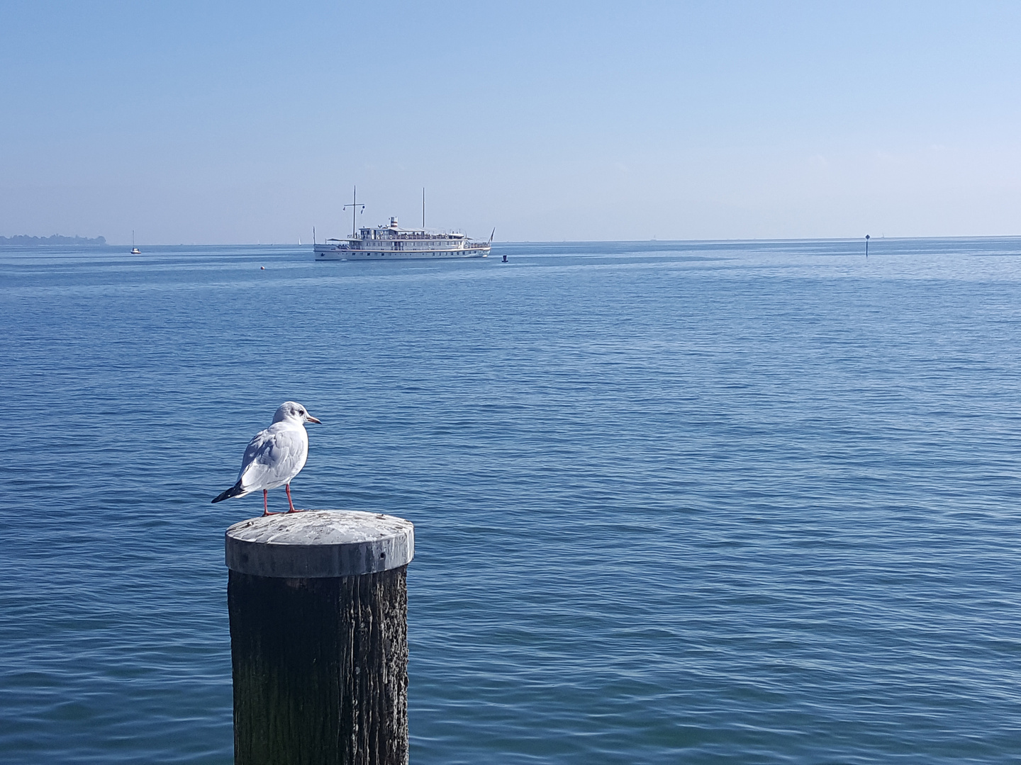 Bodensee bei schönstem Wetter