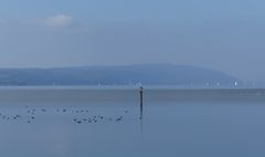 Bodensee bei Seefelden