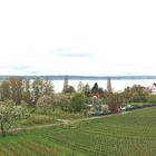 Bodensee bei trüben Wetter