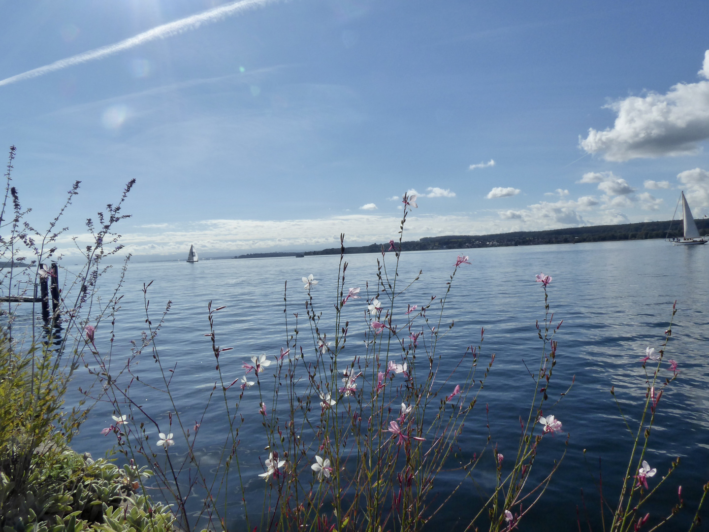 Bodensee bei Überlingen