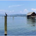 - Bodensee bei Unteruhldingen -