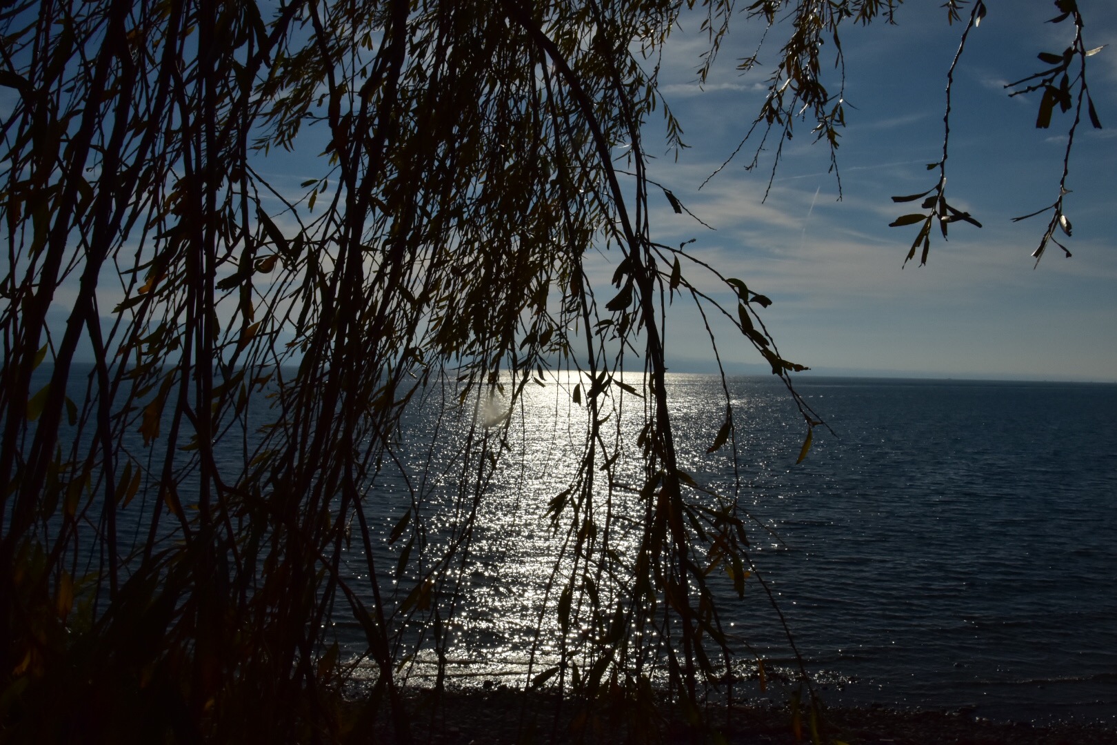 Bodensee bei Wasserburg