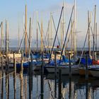 Bodensee-Blick