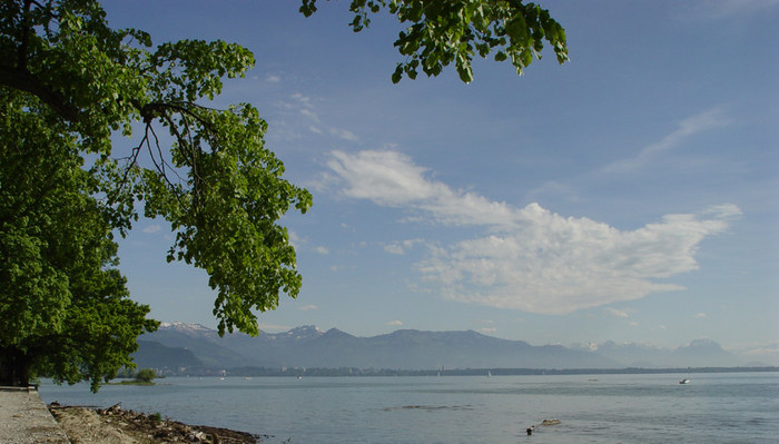 Bodensee, Blick auf Bregenz