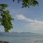 Bodensee, Blick auf Bregenz