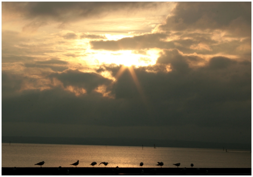 Bodensee Blick