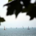 Bodensee - Blick von Langenargen