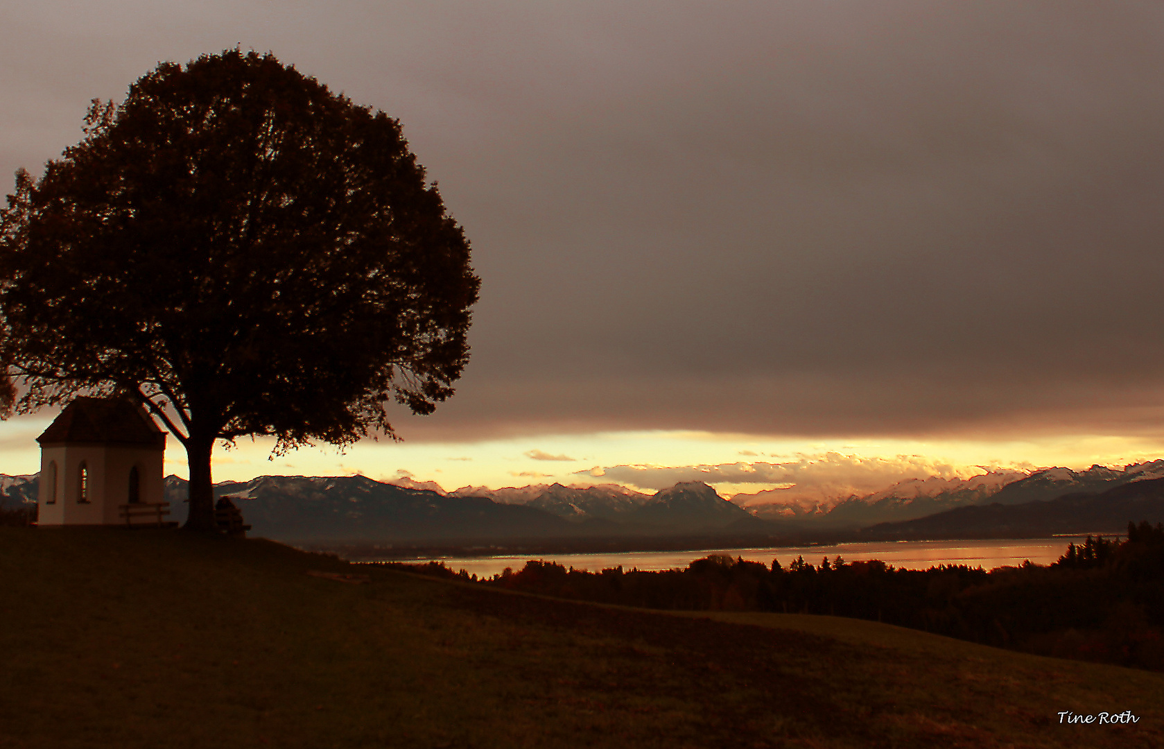 Bodensee - Blick zu den Alpen