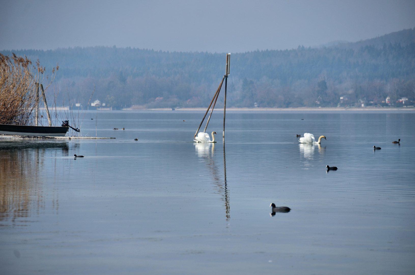 Bodensee