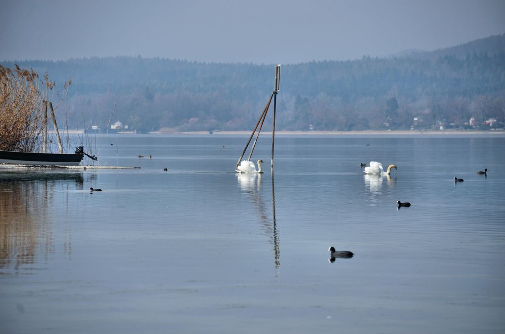 Bodensee