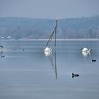 Bodensee