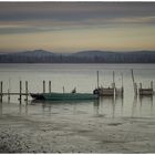 Bodensee  