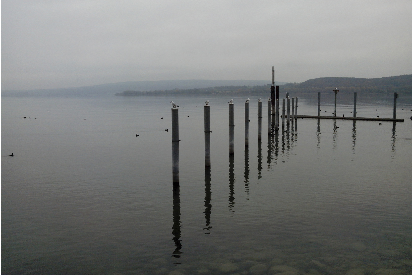 Bodensee