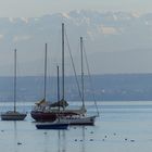 Bodensee