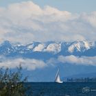 Bodensee - D85_0929