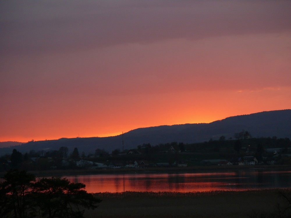 Bodensee: Das Abendrot spiegelt sich im Untersee