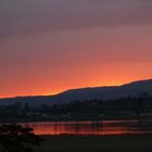 Bodensee: Das Abendrot spiegelt sich im Untersee